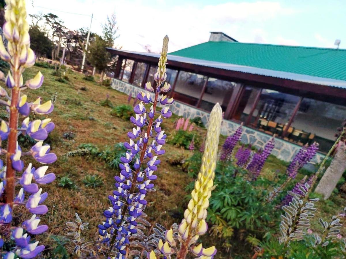 CASA WAIA ULU - Ferienwohnung Ushuaia