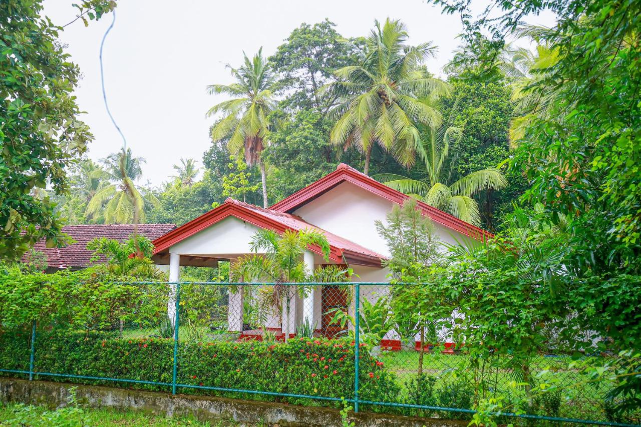 B&B Polonnaruwa - Villa Ravichini - Bed and Breakfast Polonnaruwa