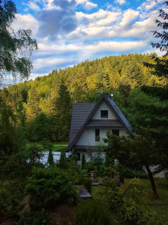 Zaciszny Zakątek Zawoja - B&B