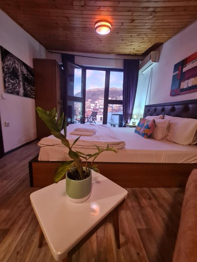Suite with Terrace