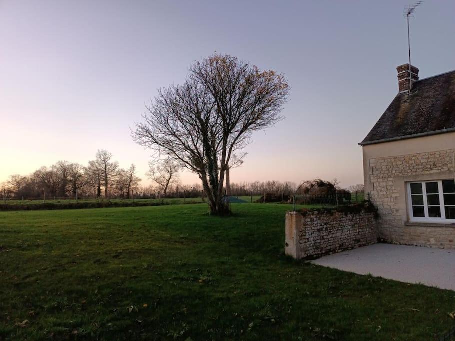 Gîte à Travers champs - B&B