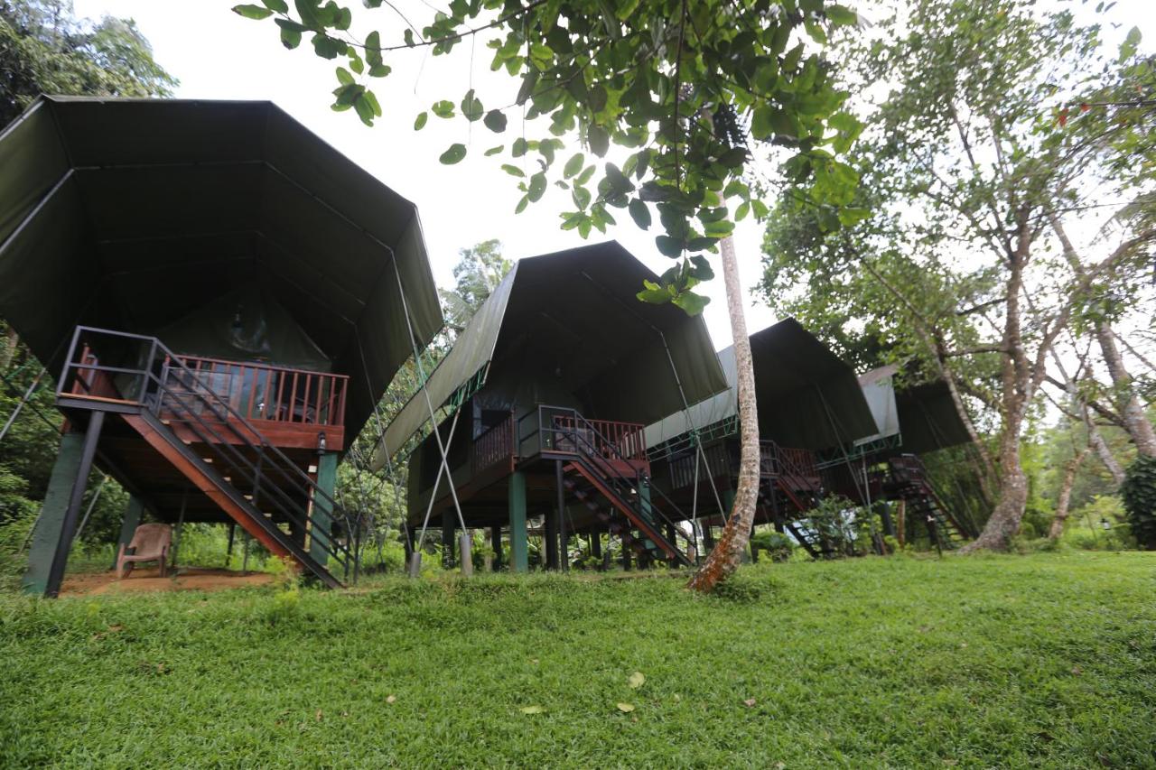360 Rainforest - B&B