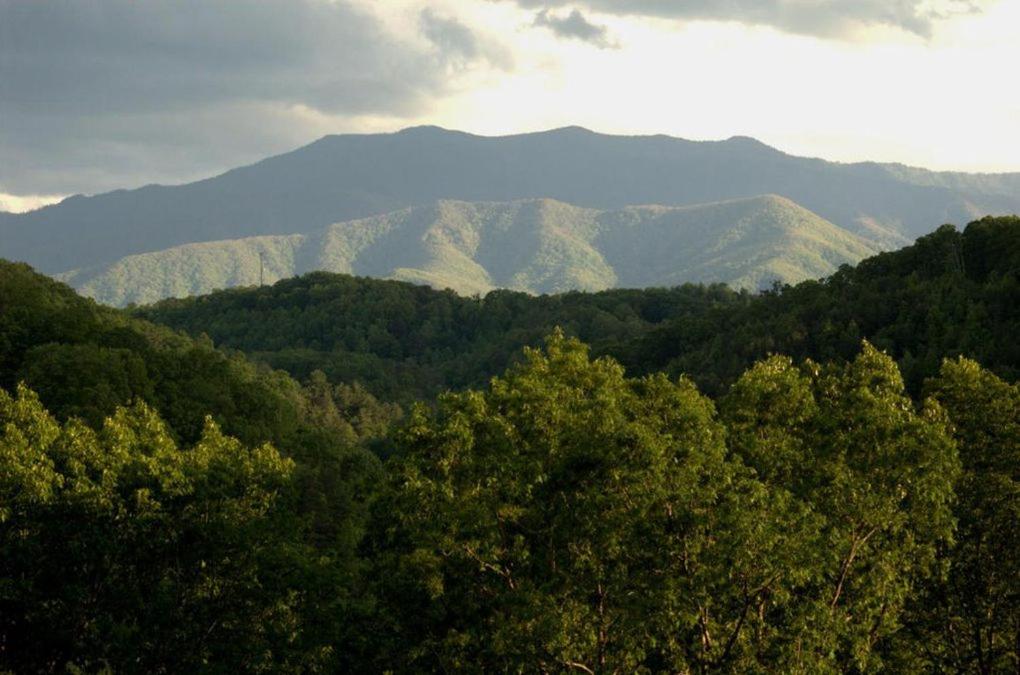 Enchanted Primrose Chalet #3709 Chalet - B&B Sevierville