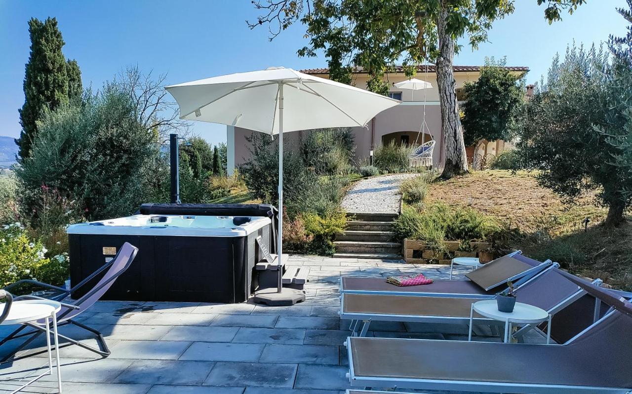 The Olive Grove in Tuscany - B&B