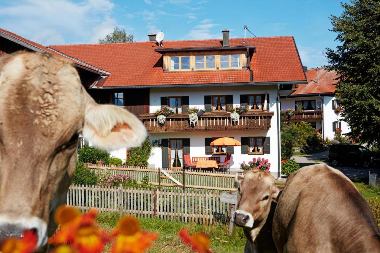 B&B Nesselwang - Ferienhaus Kögel - Bed and Breakfast Nesselwang