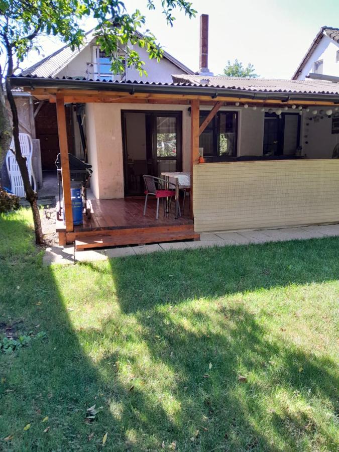 Olga house Deva - B&B