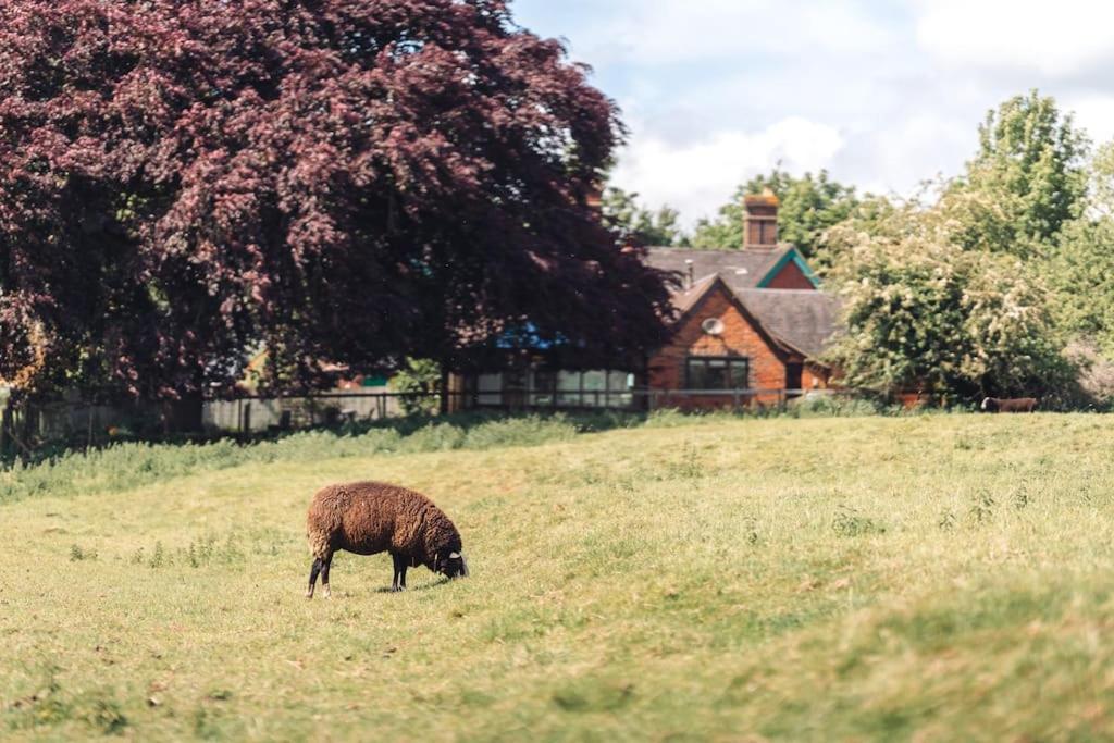 Detached homely bungalow with open fireplace - Bed and Breakfast Priors Marston