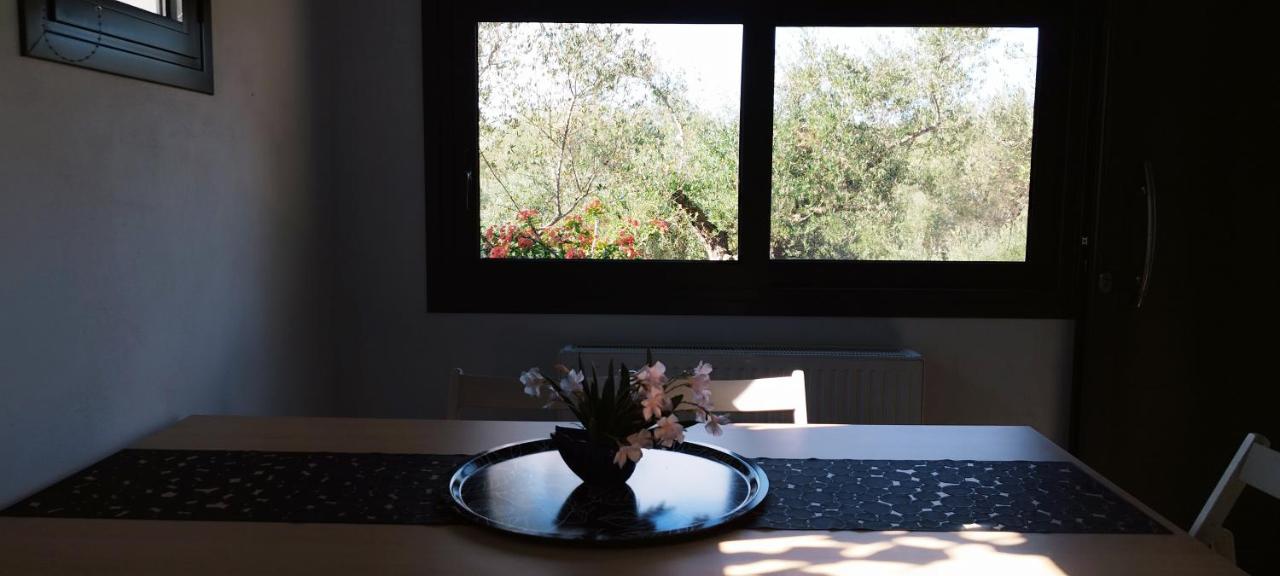 LIOFYTO - Stylish Villa with views to Foinikounda bay downstairs studio - B&B Kamária
