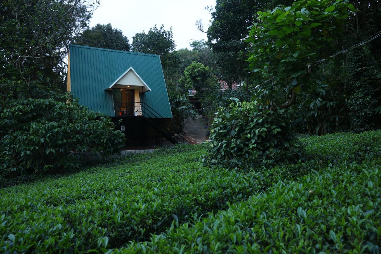 Arabian Holiday Resort Family Cottage One Room Two Bed - B&B
