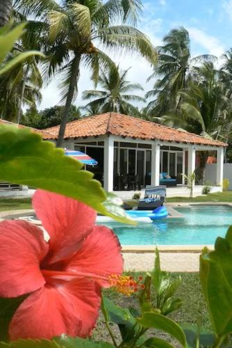 B&B El Porvenir - Vistabella Beach House - Pool, Beach - 12ppl - Bed and Breakfast El Porvenir