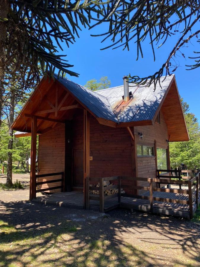 Cabañas Sierra Nevada - Chambres d’hôtes Malalcahuello