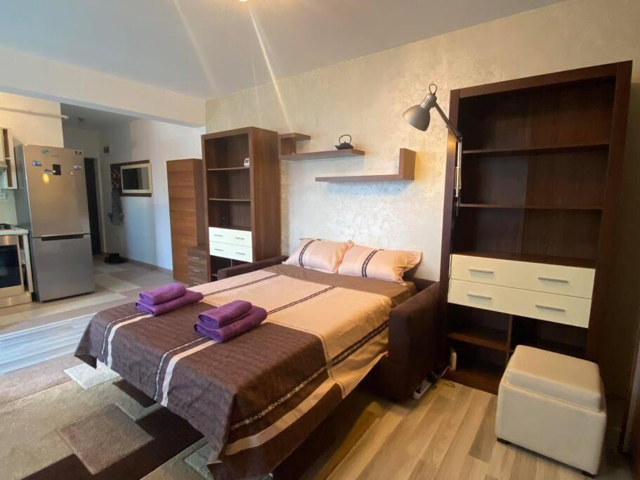 B&B Iasi - Cozy one-bedroom studio - Bed and Breakfast Iasi