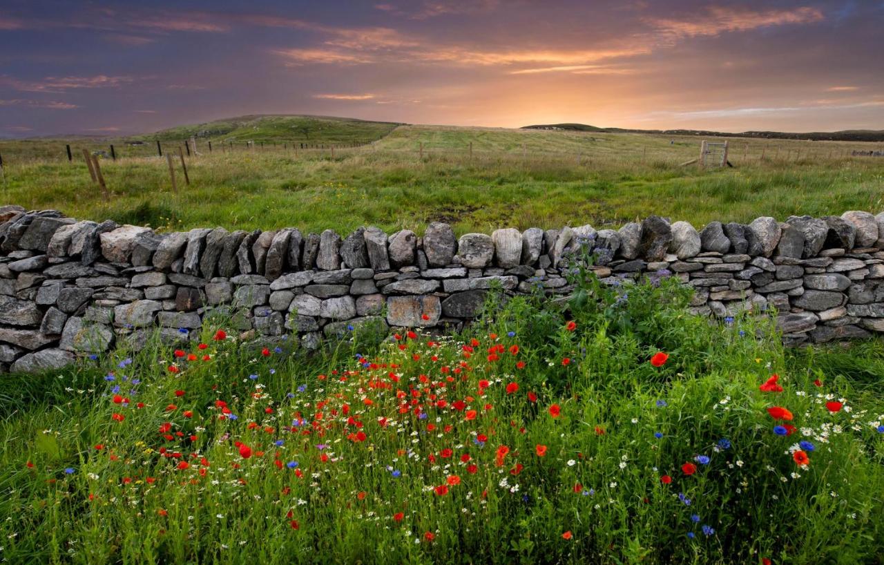 B&B Callanish - 21 Callanish Luxury Pod - Bed and Breakfast Callanish