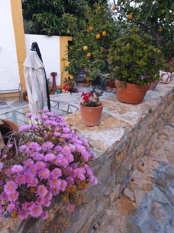 B&B Mafra - Casa das Janelinhas - Cottage near Sintra, Mafra, Ericeira - Bed and Breakfast Mafra