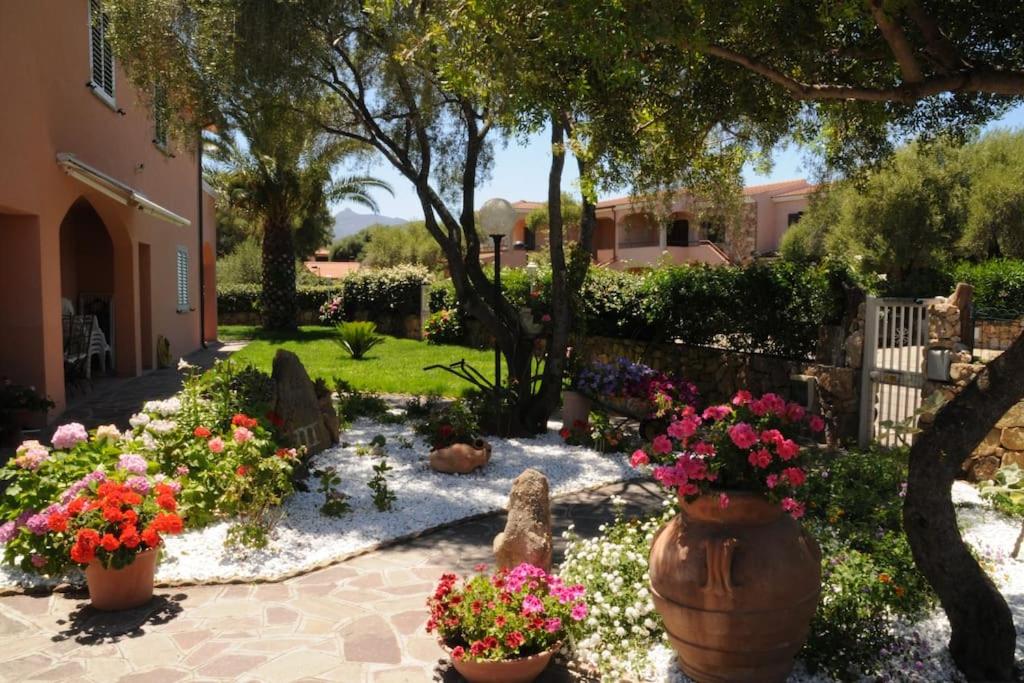 Residence Le Colonnine - Ferienwohnung San Teodoro