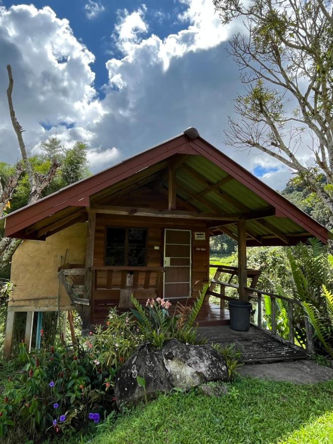 Angha forest view บ้านริมนา - B&B