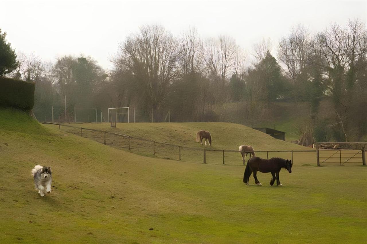 Pet-Friendly Logburner Horse Stable Views - B&B