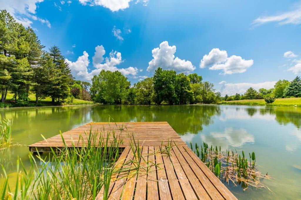 DEMEURE BERGAMOTE de FONTIERS - B&B Fontiers-Cabardès