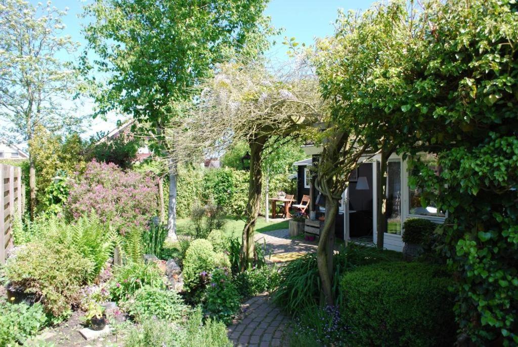 B&B Burgh-Haamstede - De ZeeuwSter - Bed and Breakfast Burgh-Haamstede