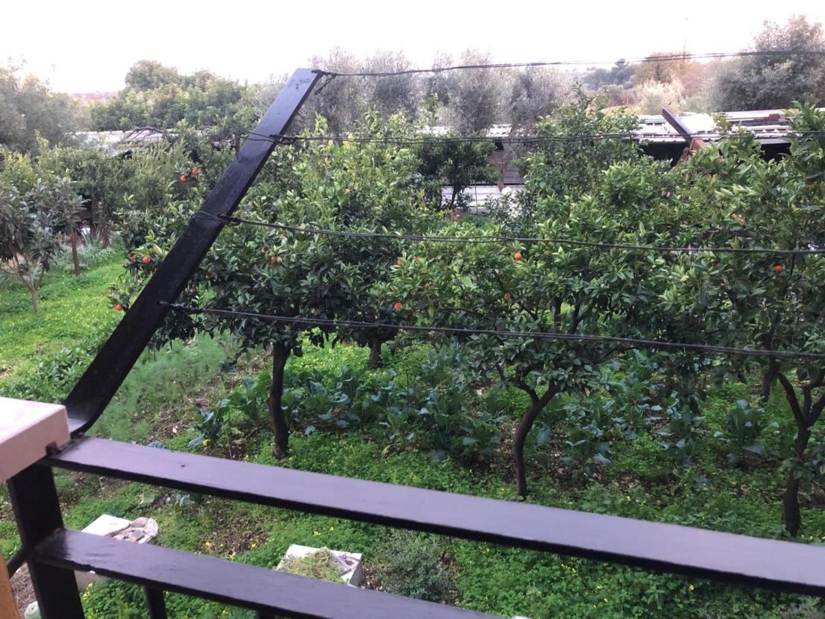 Tweepersoonskamer met Terras
