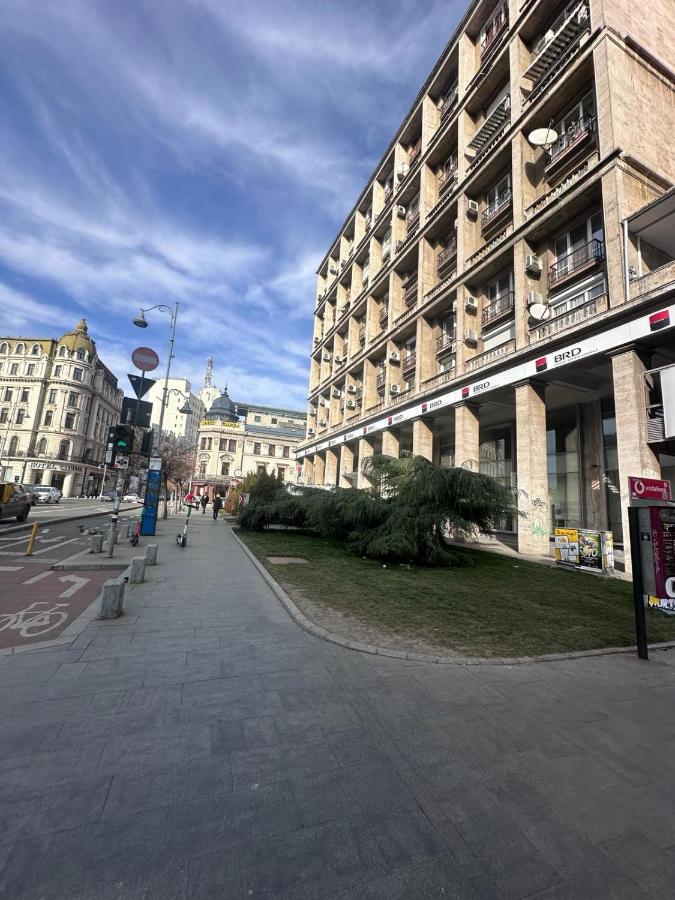 Downtown Studio Calea Victoriei Ultracentral - B&B Bucarest