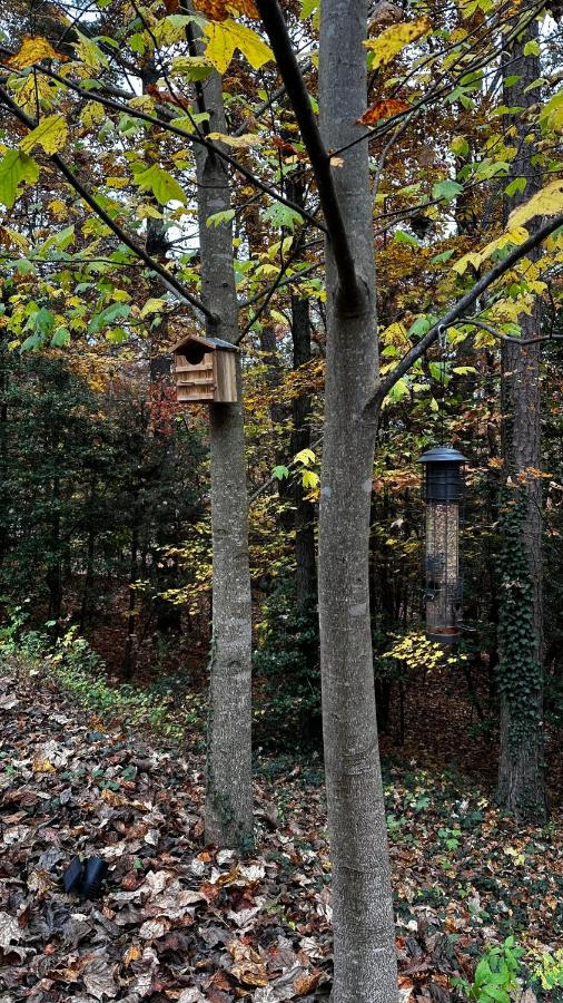 Appalachian Mountain Cabin-Updated-Private-Rafting on Ocoee River-Hiking-Waterfalls-WiFi-Pets OK - B&B