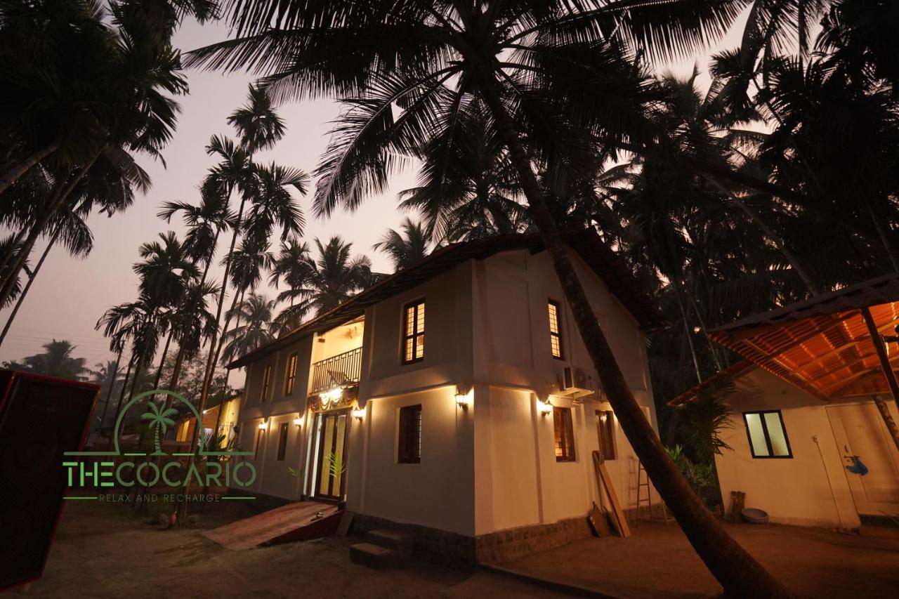 B&B Revadanda - The Cocario - Bed and Breakfast Revadanda