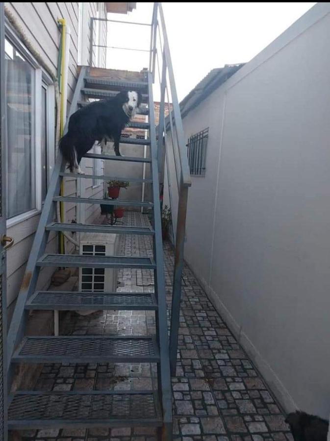 Domuyo 3 - B&B Neuquén