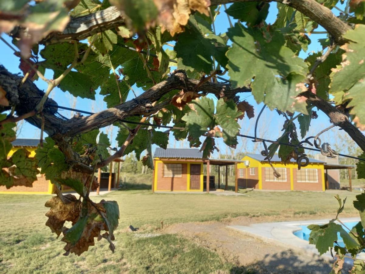 Cabañas Mora - B&B