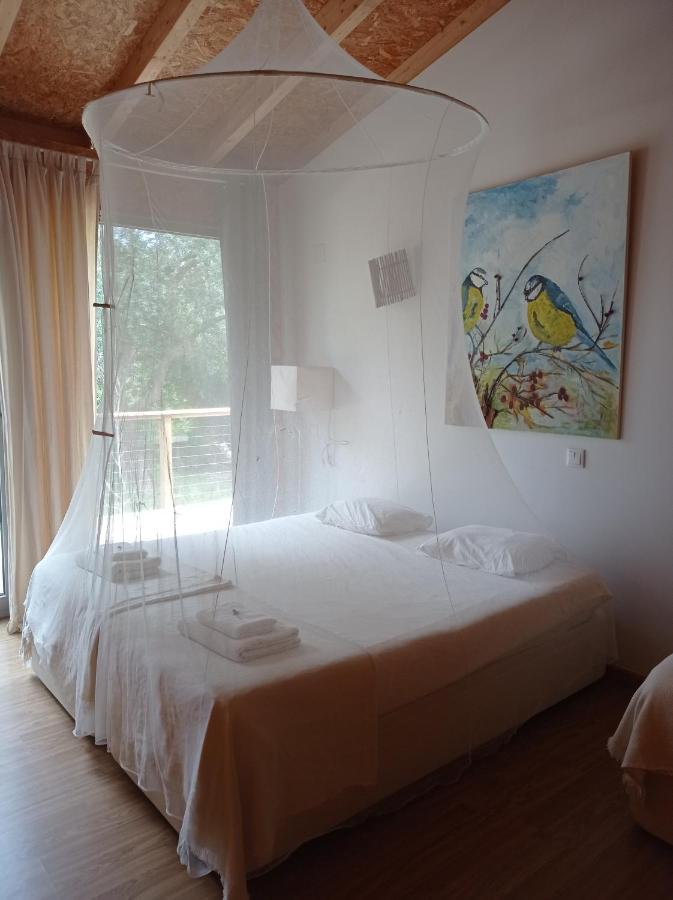 Tweepersoonskamer met 1 of 2 Bedden en Gedeelde Badkamer