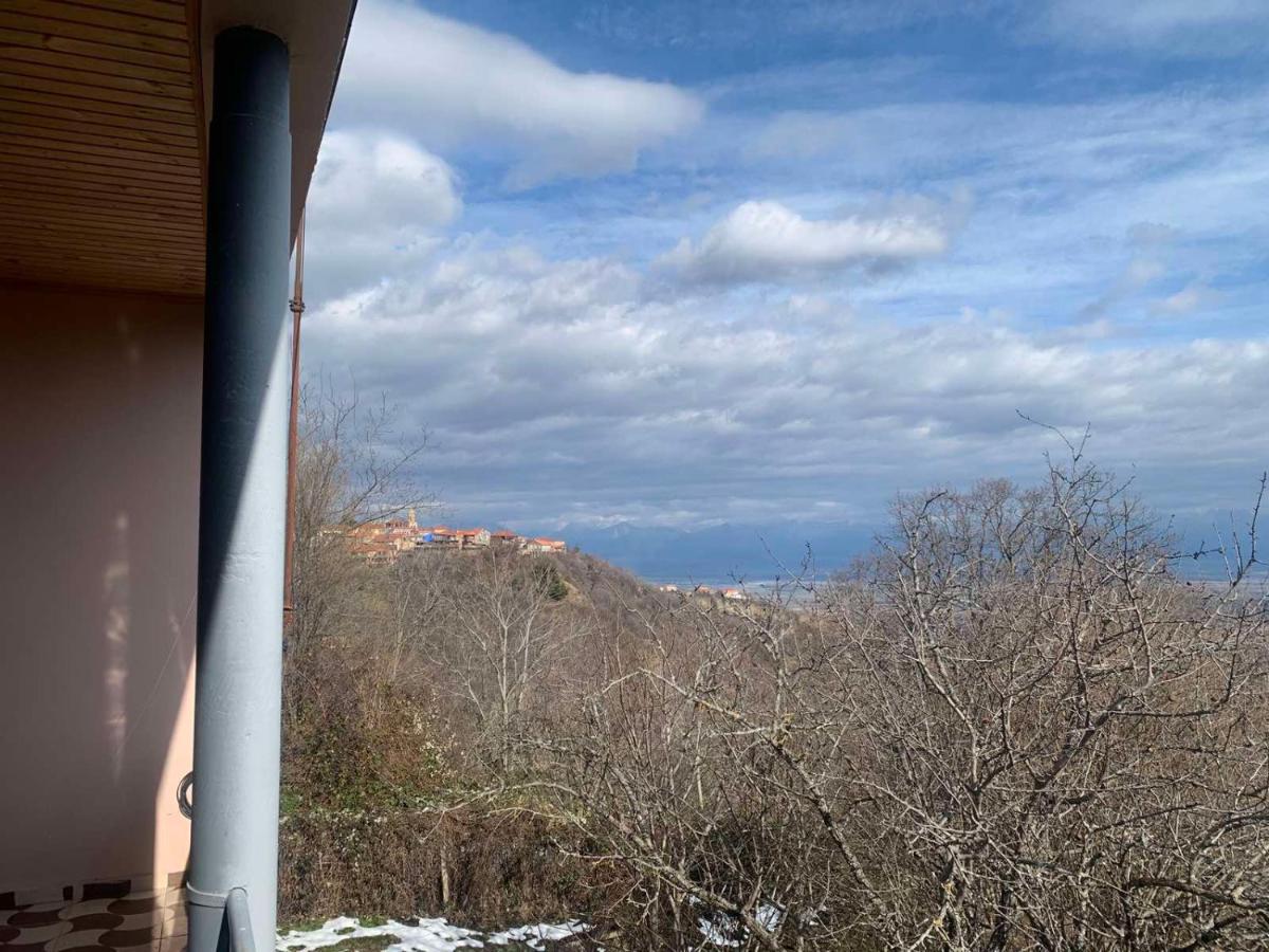 Villa Bodbe - Bed and Breakfast Signagi