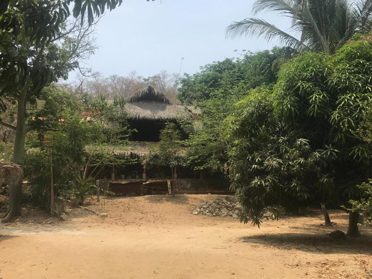 Casita Koru - B&B