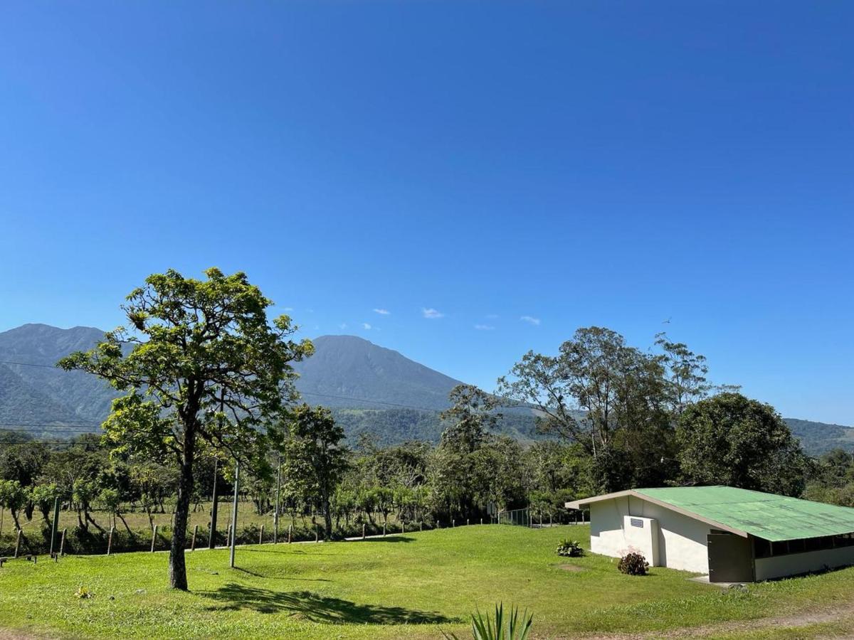 Apartamento de 3 dormitorios