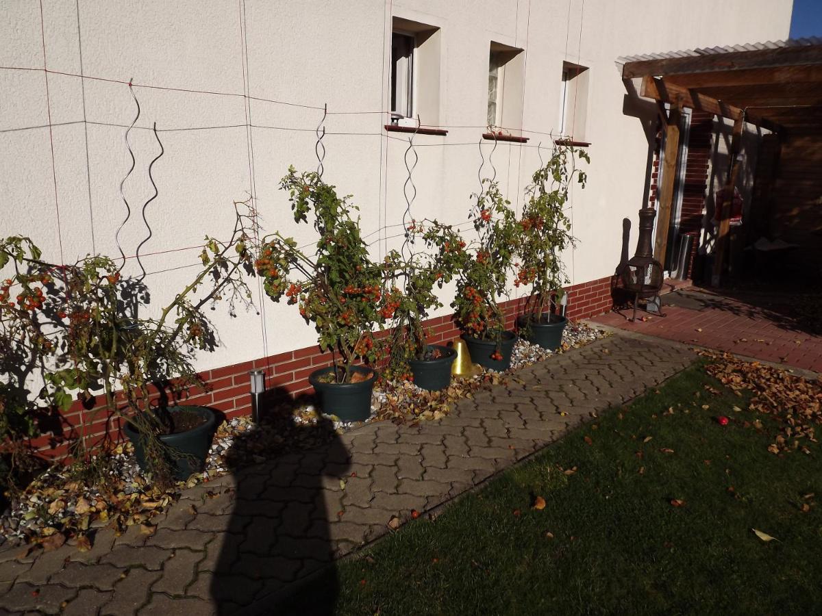 Pension Regenbogen - Ferienwohnung