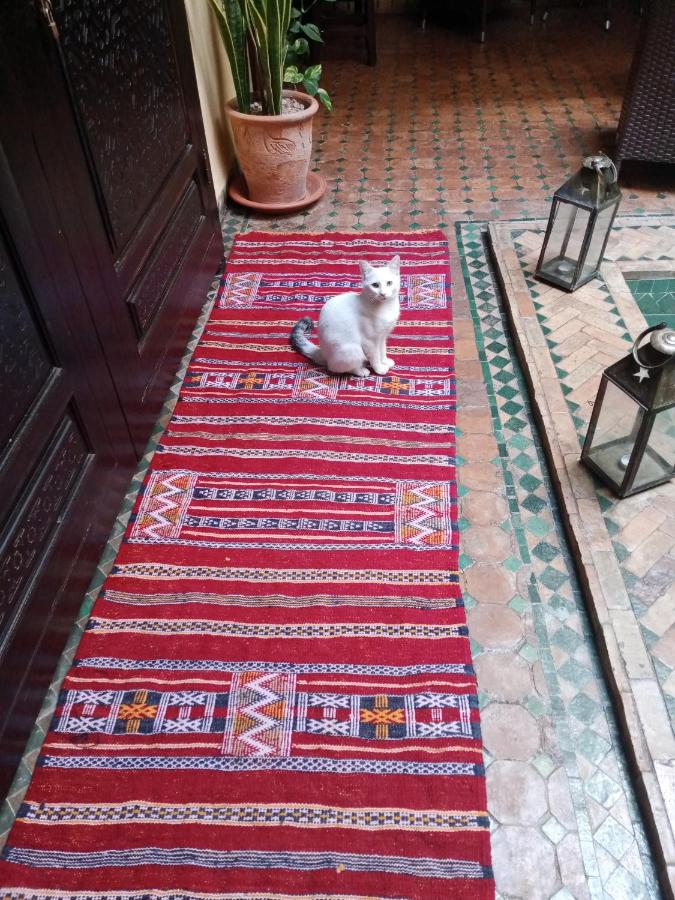 Riad Aguaviva - Bed and Breakfast Marrakesh