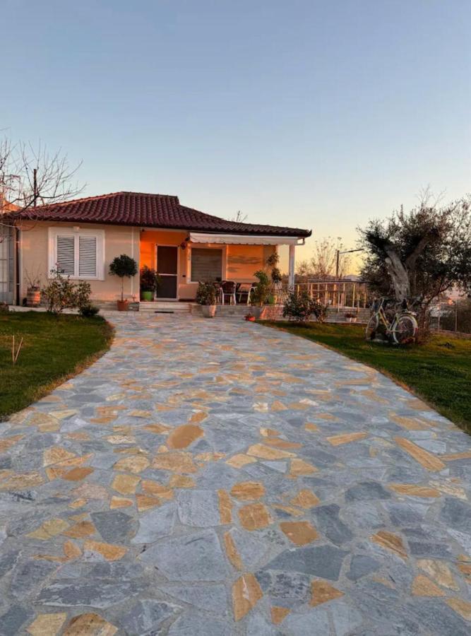 B&B Tirana - Villa Nikol - Bed and Breakfast Tirana