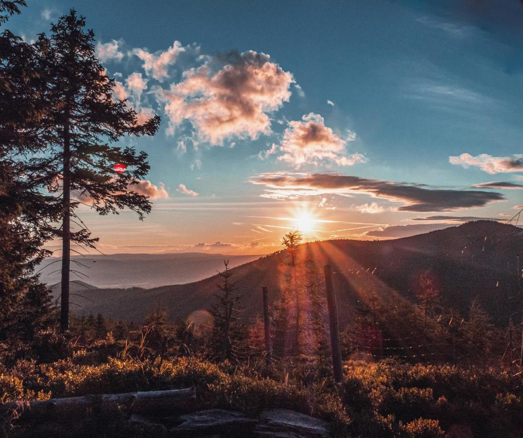 Apartament Hutnicza - B&B Stronie Śląskie