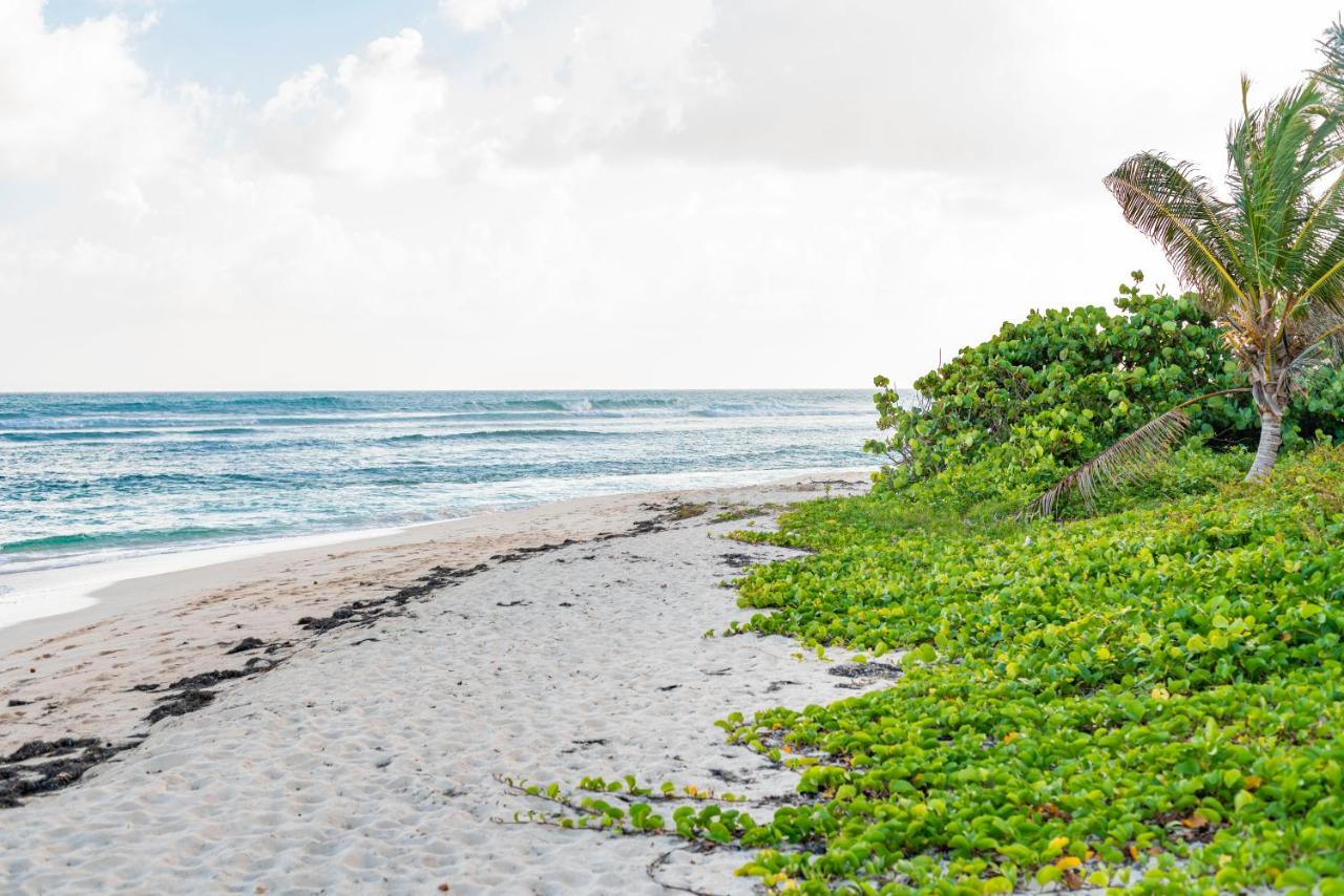 Ti Kano, magnifique duplex avec vue mer - Ferienwohnung Saint-François
