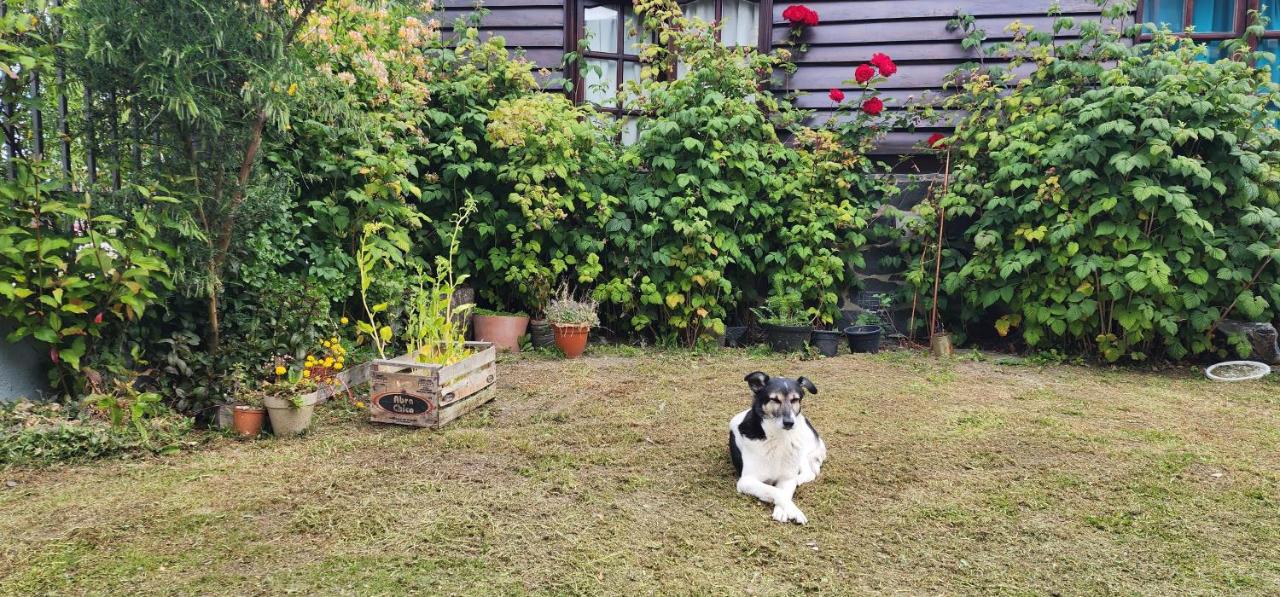 LA CASA DE FRIDA - B&B