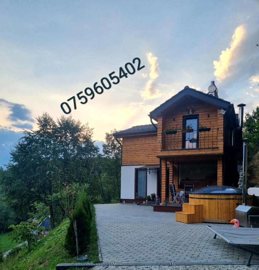 B&B Vişeu de Sus - La casa din deal - Bed and Breakfast Vişeu de Sus