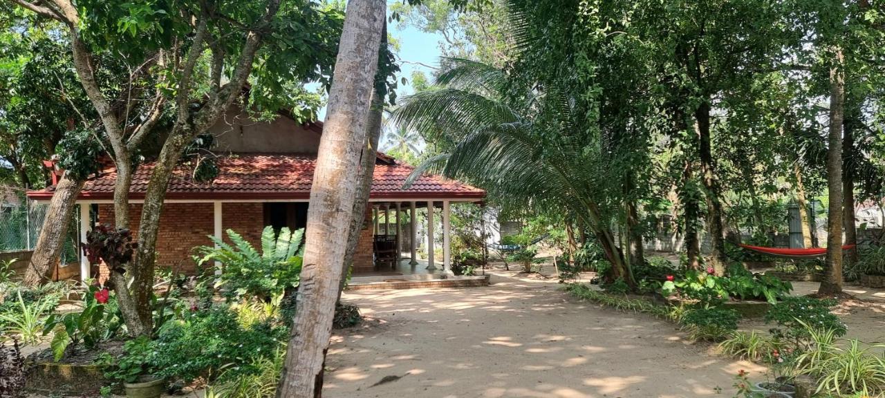 Nature love Negombo - Ferienwohnung
