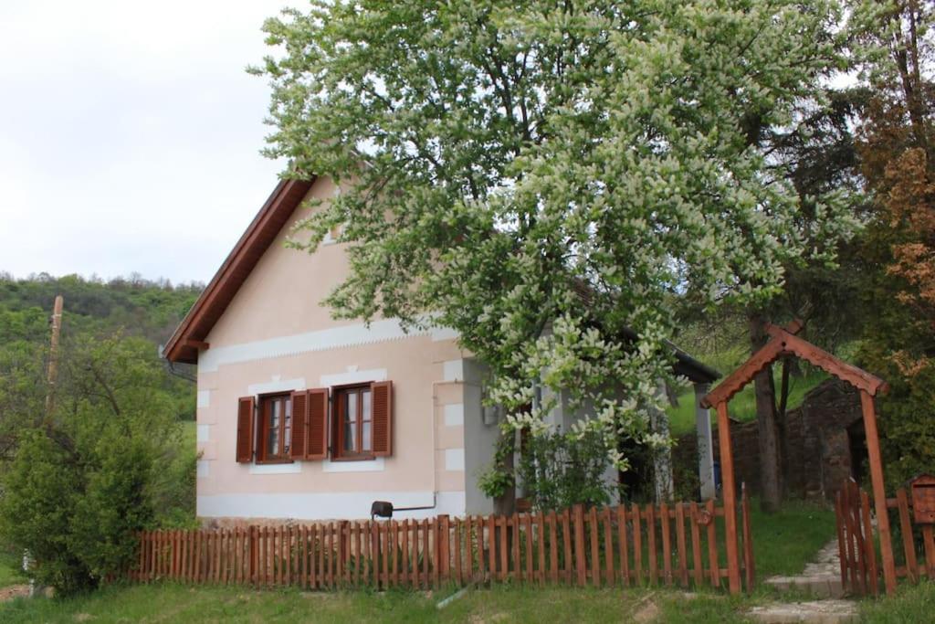 Alsópetényi erdőszéli vendégház - B&B
