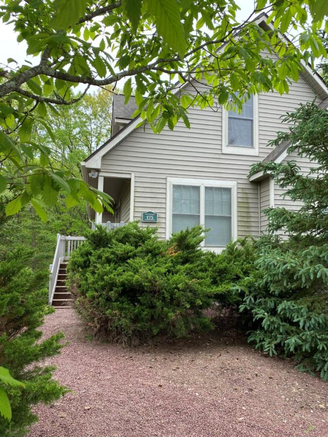 Gorgeous House in Camelback Mountain near lifts! - Chambres d’hôtes Tannersville