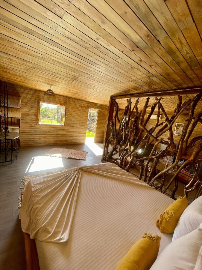 Chalet 1 Chambre