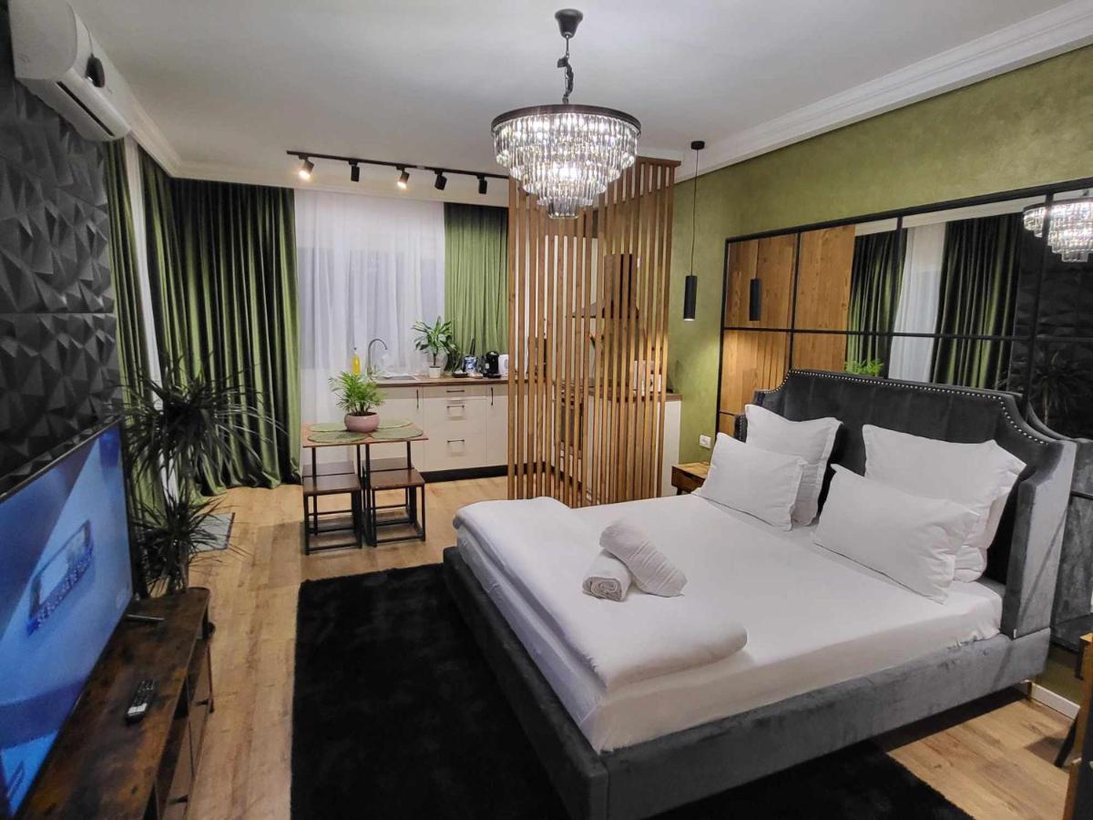 B&B Arad - Sika Onyx Apartment - Bed and Breakfast Arad