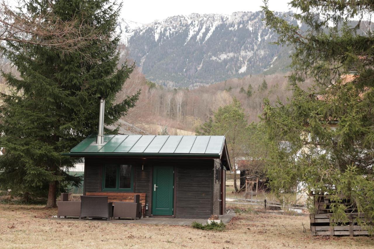 Alt Chalet in der Semmering-Rax Region - Bed and Breakfast Neunkirchen