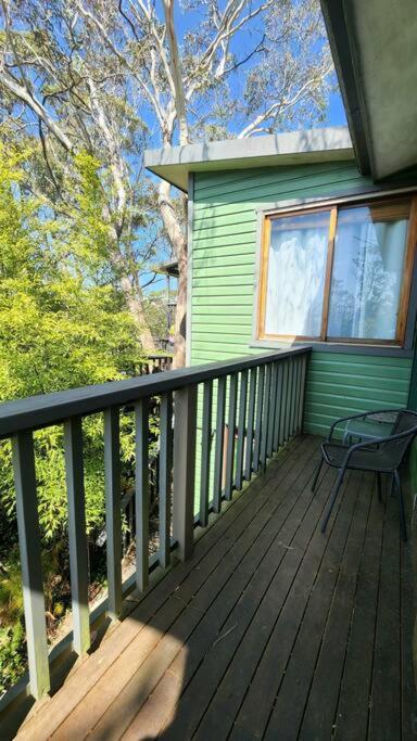 The Black Cockatoo - Secret Garden Treetops Home - B&B Katoomba