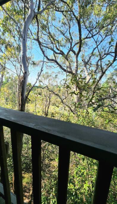 The Black Cockatoo - Secret Garden Treetops Home - B&B Katoomba