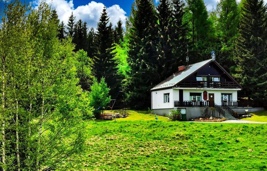 Koniecznie Róża - B&B