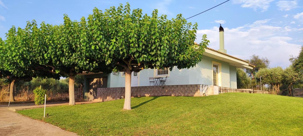 Villa Chryssi - B&B Ágios Ioánnis